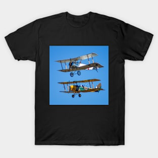 Tiger Moths T-Shirt